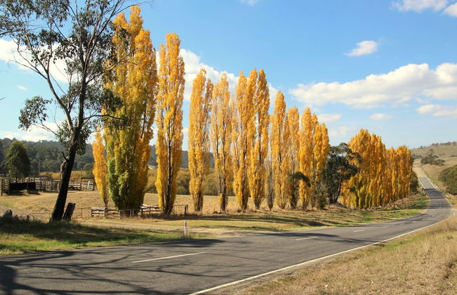 3 Bells Alpine Cottage - Foto 13