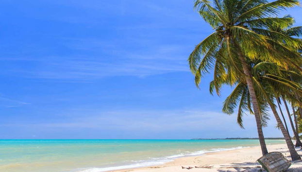 Excursión a la playa de Ipioca - Foto 2