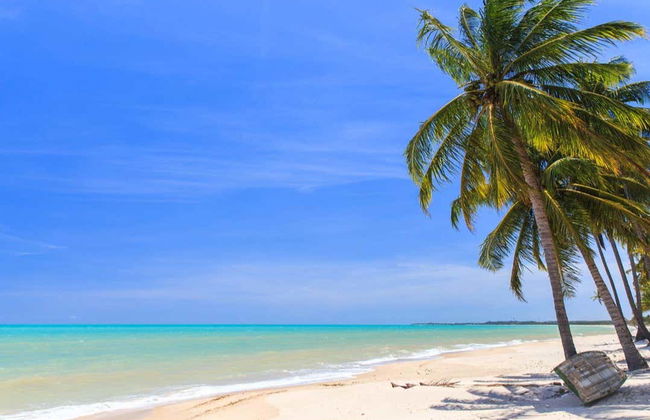 Excursión a la playa de Ipioca - Foto 2