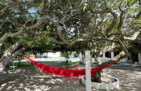 Chácara Soares Melo - Foto 61