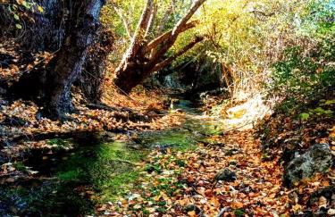 Alojamiento Rural Los Hacheros - Foto 46