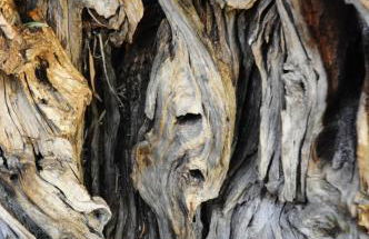 Casa della Nonna - Foto 46