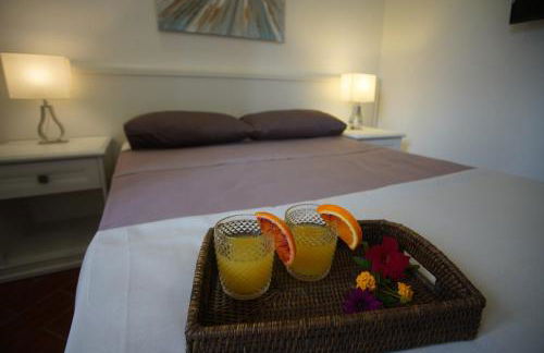 Gli Ulivi di Gino - Foto 54