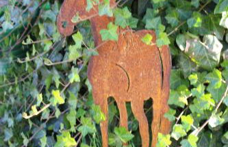 Ponyhof Adam Urlaub auf dem Bauernhof - Foto 32