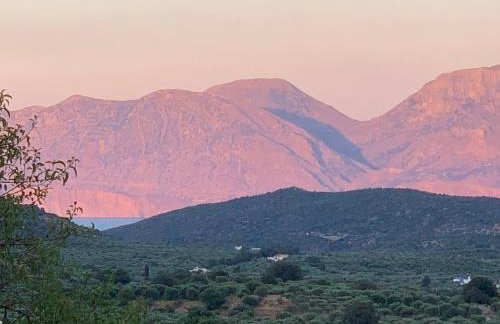 Cinnamon House in Kritsa - Foto 20