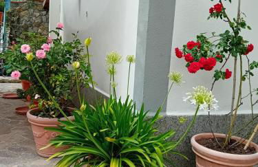 Appartamento Casa Rita - Sorano - Foto 22