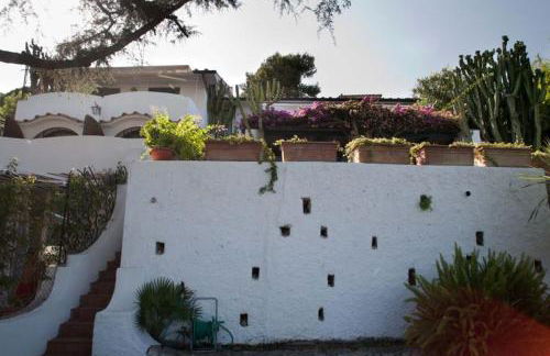 La Bougainville - Foto 35