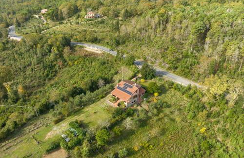 Casa Flora - Foto 40