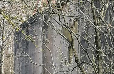 Wyciszek - mazurska agroturystyka - Foto 77