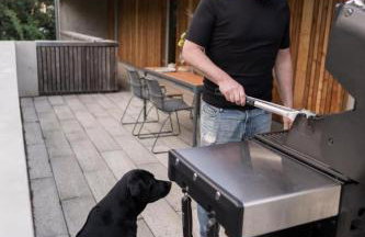 Ferienhaus TierbachLodge - Foto 9