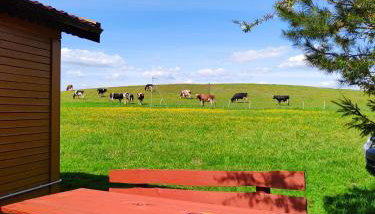 #MazuryWildLife - Foto 4