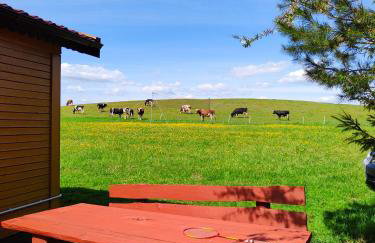 #MazuryWildLife - Foto 4