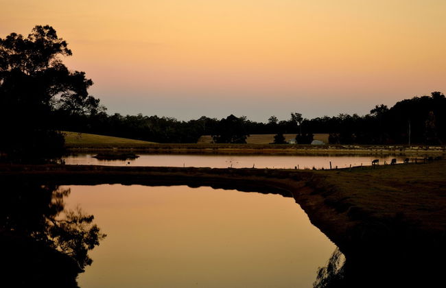 Diamond Forest Farm Stay - Foto 40