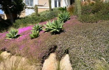 La roche aux mouettes Ile du Levant - Foto 8