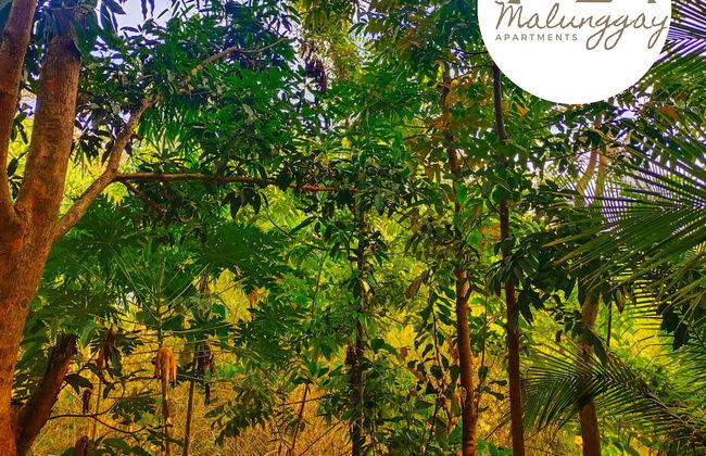 Malunggay Apartments - Foto 36