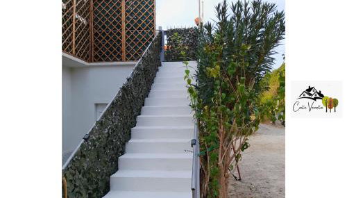 Corte Veneta - Foto 4, Garden, Garden view
