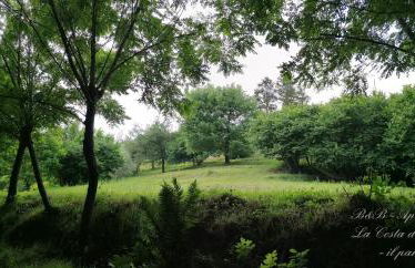 La Costa Di Gavedo - Foto 15