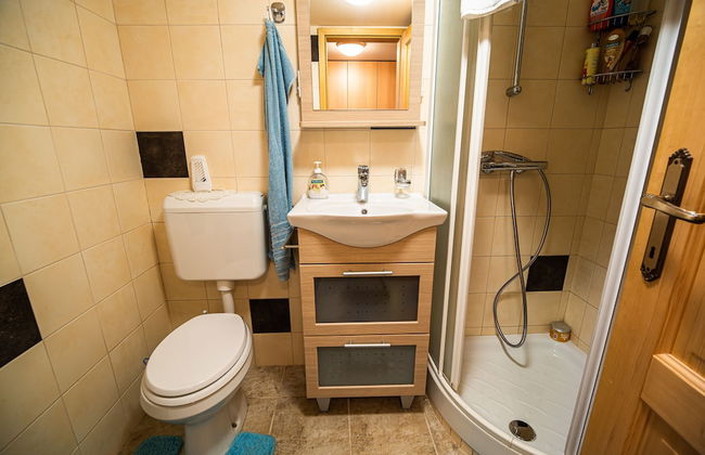 Apartments Zvoh, Krvavec, Ski-in, Ski-out - Foto 47