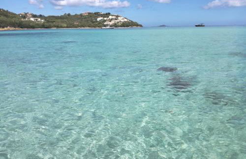 Lucky Apartment - Foto 12