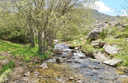 Casa Rural El Berrueco - Foto 25