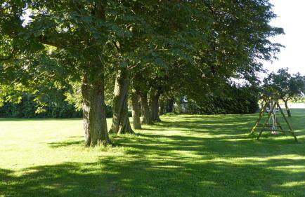 Gut-Rattelvitz-Galerie-D-hochwertig-Sauna-Kamin-eTankstelle-Spielscheune-15-000qm-Parkland - Photo 60