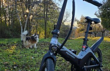 Goreta032 Apartment - Foto 14