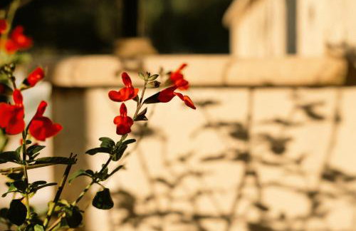 Manolia house near beach - Foto 22