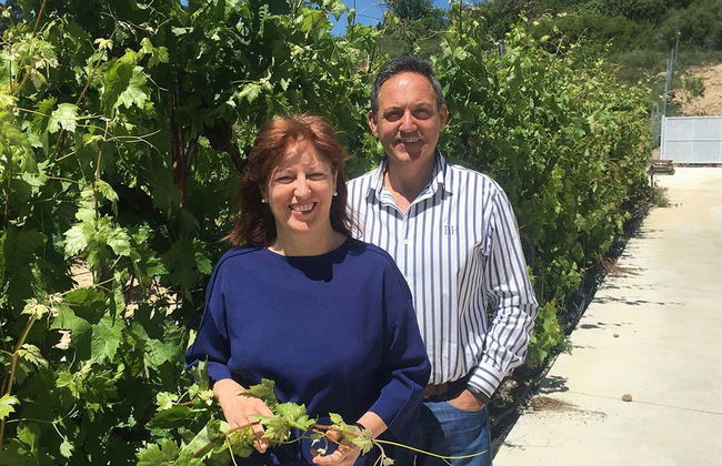 Bodegas Loli Casado Winery Tour - Foto 8