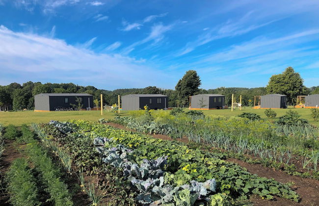 Masuria Resort Village - Foto 36