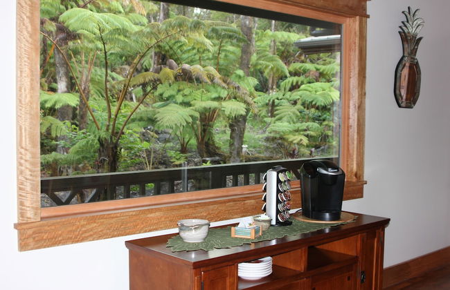 Volcano Rainforest Lodge - Foto 36