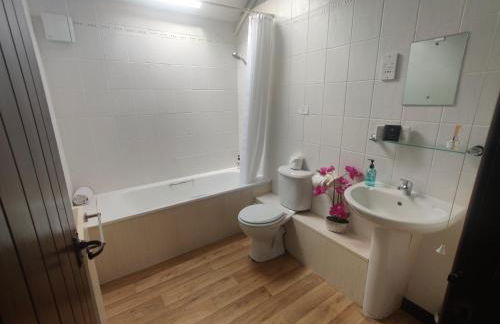 Birds Farm - Foto 40