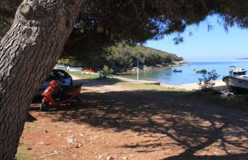 Apartments by the sea Cove Merascica, Cres - 8071 - Foto 10