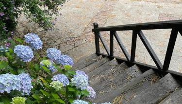 Casa rural en Redes para 4 - Foto 2, Garden, Garden view