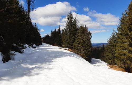 Ferienwohnung am See - Foto 26