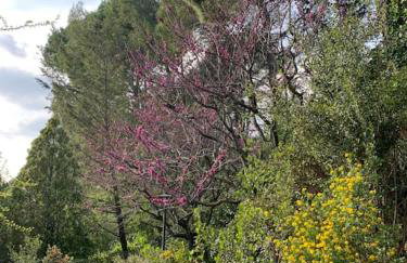 Vivenda de luxe a Barcelona - Foto 32