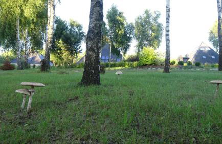 TuDobrze Noclegi w piramidach - Photo 23