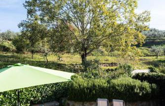 Residence Casa Lama - Foto 13