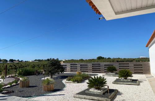 Adega Monte Maneta - Foto 28