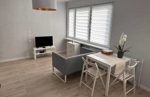 APARTAMENT OŚ. ZŁOTE 5F - Foto 4