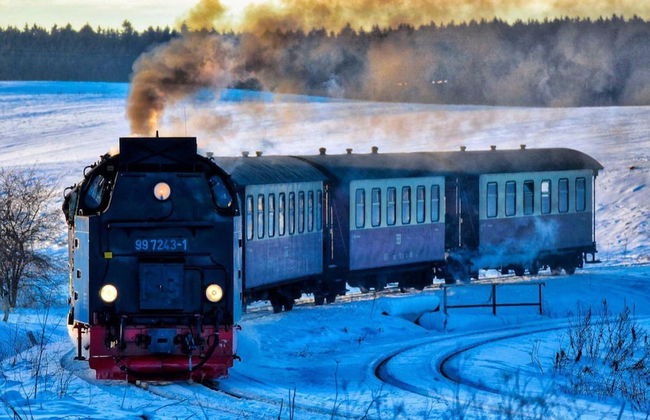 Doppelhaushalfte in Hasselfelde - Foto 16