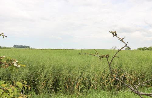 Gordon Lodge - Foto 29