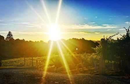 Quinta de Real - Foto 20