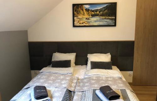 Willa Jagoda duży domek w górach 12-15 osób,jacuzzi, kominek,bilard - Foto 24