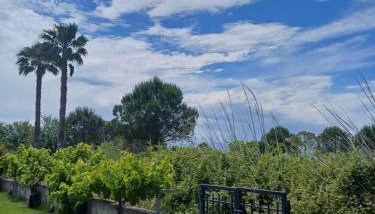 Aktaion apartments - Foto 2, Garden