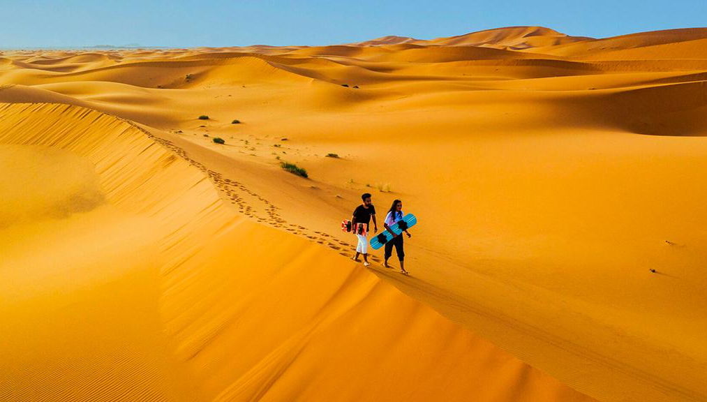 Safari matutino en 4x4 - Foto 1