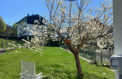 The Green Owl - Foto 24