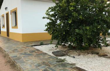 Countryside retreat Évora - Foto 24