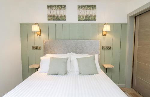 Barcud Coch - Red Kite - Photo 23