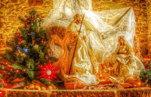 Le Querce di Cota - Foto 59