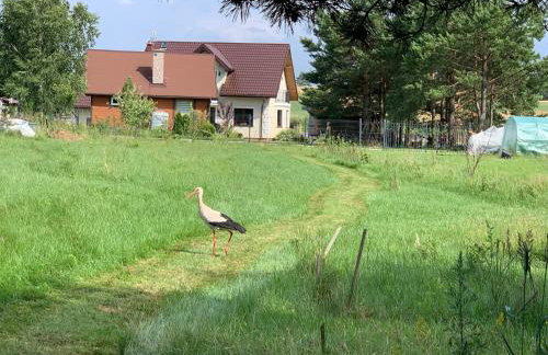 Domek wypoczynkowy Letnisko Sosenkowo - Foto 31